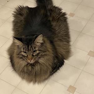 Meet your Posher, Cindy